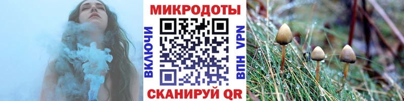 blacksprut ONION  дарк нет телеграм  Новый Уренгой  Псилоцибиновые грибы Cubensis  наркошоп 