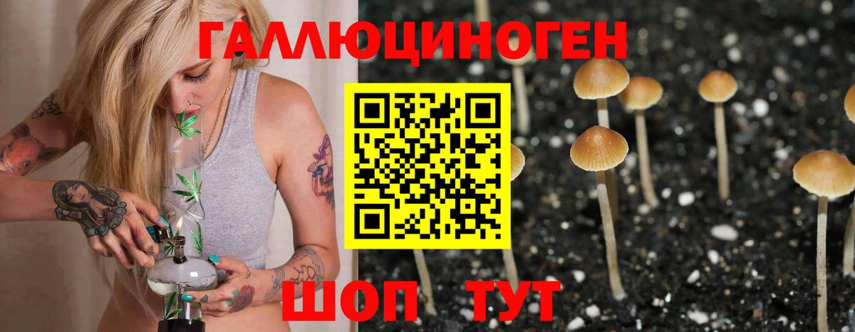 Новый Уренгой  Псилоцибиновые грибы ЛСД  Вход с VPN 