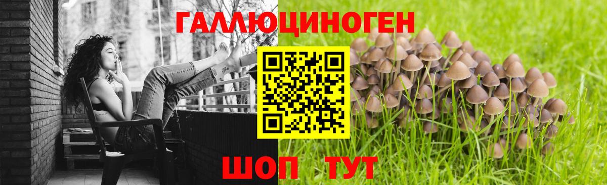 Галлюциногенные грибы ЛСД Новый Уренгой